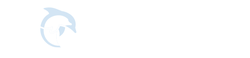 蓝豚学院